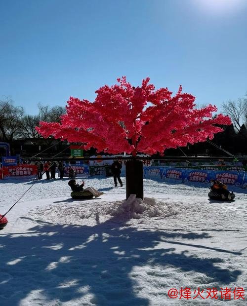 “中国龙乡”嘉荫冰雪欢乐季开幕 开启沉浸式冬季文旅新篇章 “中国龙乡”嘉荫冰雪欢乐季开幕 开启沉浸式冬季文旅新篇章