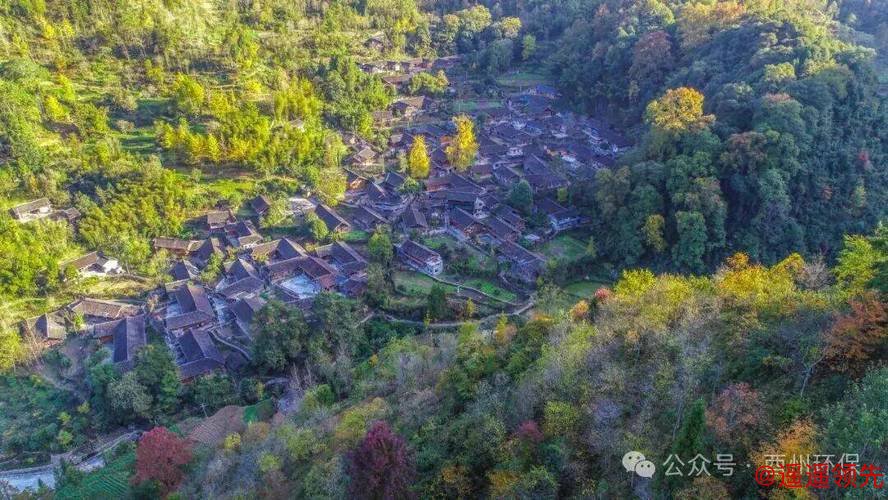 重庆酉阳：连片保护织就古寨新卷