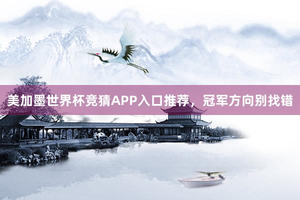 美加墨世界杯竞猜APP入口推荐，冠军方向别找错